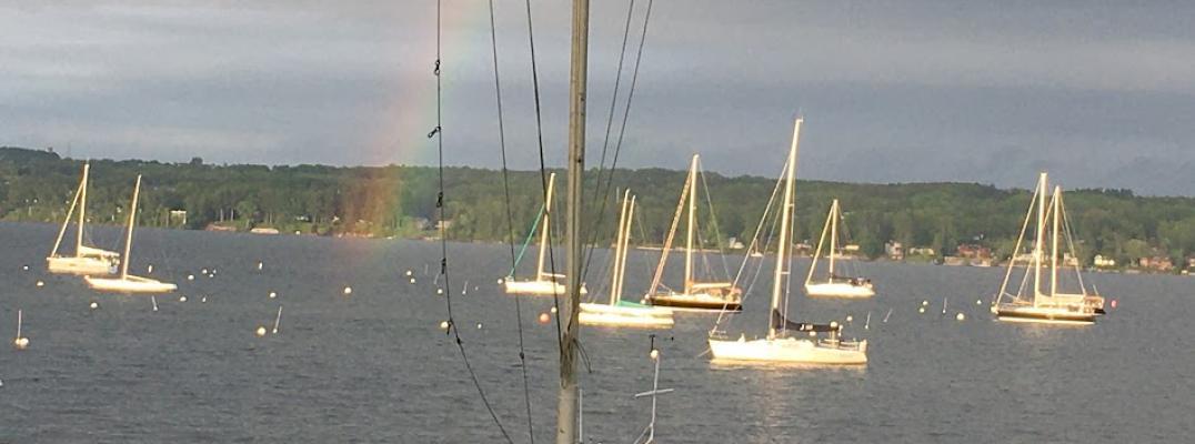 harbor rainbow